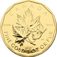2007 Canada 200 dollar Elizabeth II, 1 oz .99999 gull, proof