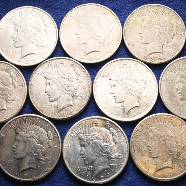1922, 1923, 1924, 1926, 1934 USA dollar Peace 10 stk., 240,57 g rent sølv, VK