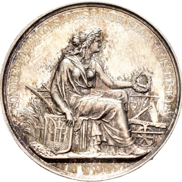 1880 Søndre Trondhjems Amts Landhusholdningsselskab, mindre belønningsmedalje, Throndsen, 25 mm, sølv, 0/01