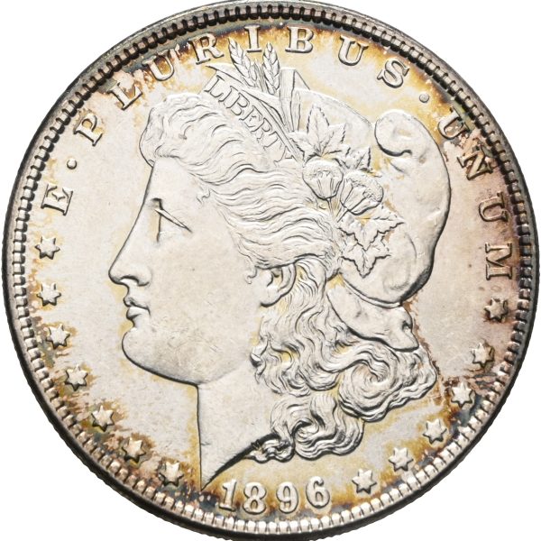 1896 USA dollar, Philadelphia, 0/01