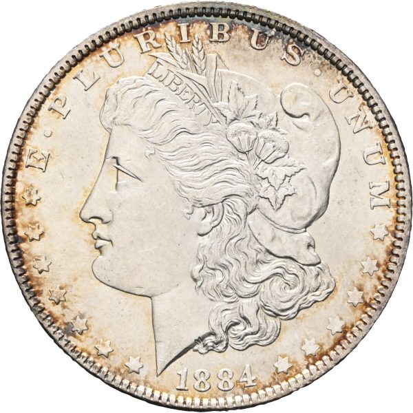 1884 USA dollar Philadelphia, 0/01