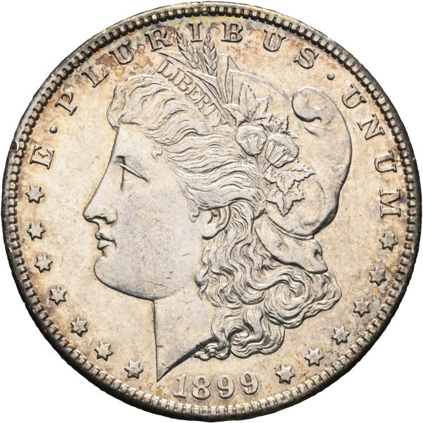 1889 S USA dollar, 01