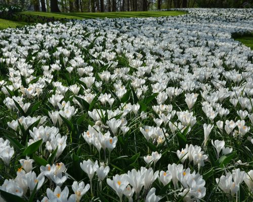 Åpningstider i påsken/april