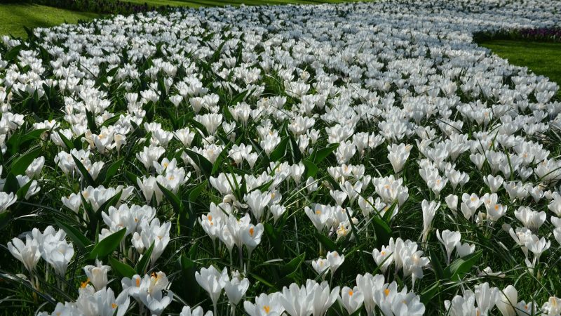 Changes to Opening Hours in April