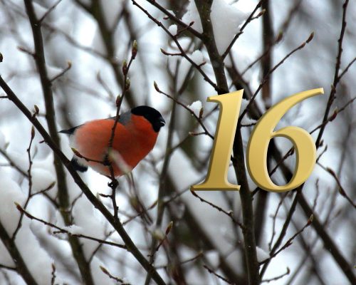 Lysimachos og arven etter Alexander den store