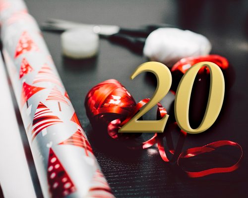 Sveriges mest berømte krigerkonge