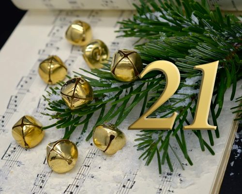 Opprørsregjeringen i Schleswig Holstein