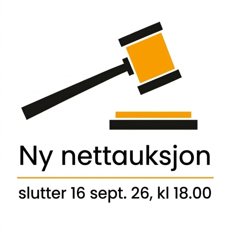 Den nyeste nettauksjonen er ute nå